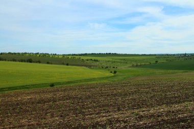 yeşil alan ile peyzaj