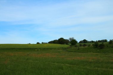 Yeşil çimenleri ve ağaçları olan güzel bir yaz manzarası.