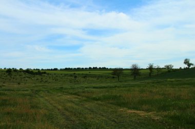 Yeşil tarla manzarası ve mavi gökyüzü Yazın bulutlu
