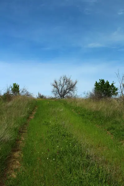 Kırsalda yol