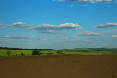 Yeşil çimen ve mavi gökyüzü olan güzel bir manzara.