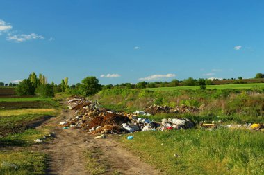 Şehirdeki çöpler. Çevre kirliliği. Ormandaki çöpler.