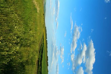 Yeşil tarla ve bulutlu mavi gökyüzü