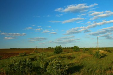 Kırsal alan, güzel bir gökyüzü ve güzel bir günbatımı olan arazi..