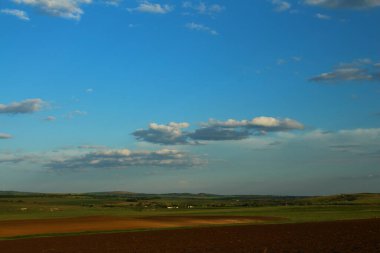 Buğday tarlası olan güzel bir manzara.