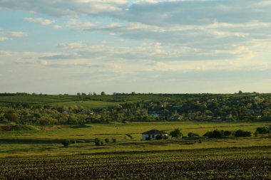 Ukrayna 'daki köy manzarası