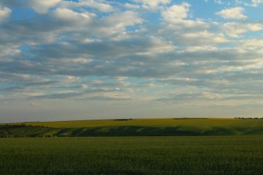 yeşil alan ve güzel gökyüzü.