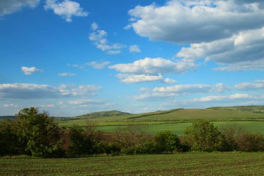 Yeşil çimen ve mavi gökyüzü olan bir yer.