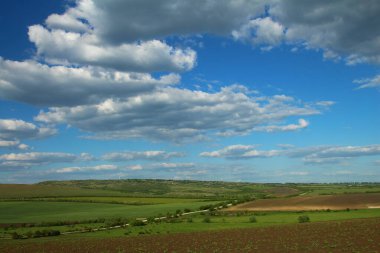 Yeşil tarla ve bulutlu mavi gökyüzü