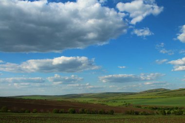 Yeşil çimenler ve mavi gökyüzü olan güzel bir yaz manzarası