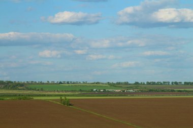 Yeşil tarla ve mavi gökyüzü manzarası