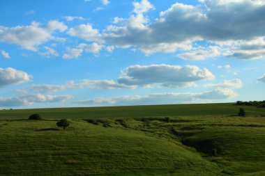 Yeşil tarlalı ve mavi gökyüzüyle manzara