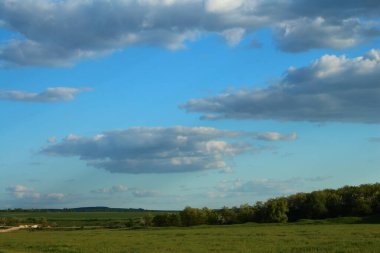 Yeşil tarlalı ve mavi gökyüzüyle yaz manzarası
