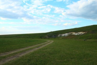 Tarlanın ve yolun manzarası