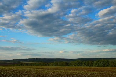 Arazi ve mavi gökyüzü