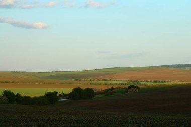 Yeşil alanlar ve mavi gökyüzü ile kırsal manzara