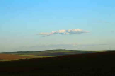 Mavi gökyüzü olan yeşil bir tarlanın güzel manzarası.