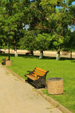 Parkta yeşil çimenleri ve ağaçları olan güzel bir park bankı.