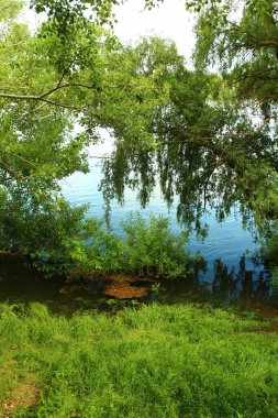 Güzel göl manzarası