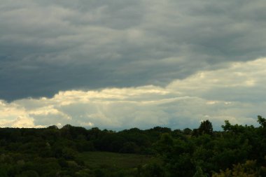 Ağaçlarla dolu bir tarlası ve bulutlu bir gökyüzü olan güzel bir manzara.
