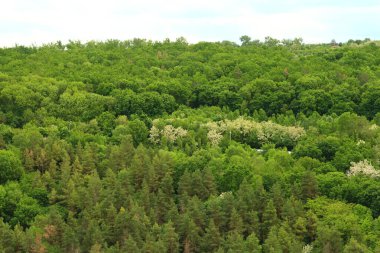 Tepenin tepesinden manzara