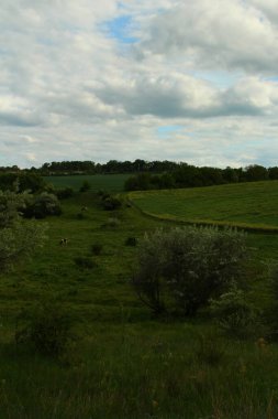 Tepeden manzaralı manzara