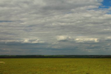 Çayırdaki yeşil çimenler ve yazın arka plandaki bulutlu gökyüzü.