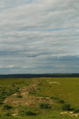 Güzel bir yaz manzarası