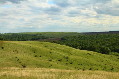 Yeşil çimenleri ve bulutları olan güzel bir manzara.