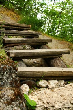 Ormanda ahşap köprü