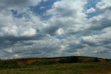 Buğday tarlası ve mavi bulutlu gökyüzü olan güzel bir manzara.