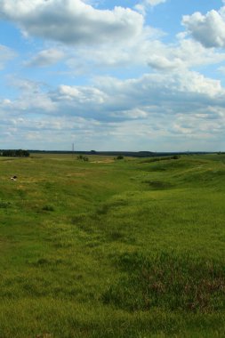 Bir tarlası ve mavi gökyüzü olan güzel bir yaz manzarası.