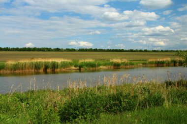Nehir ve bulutlu gökyüzü ile güzel bir yaz manzarası