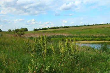 Nehir ve mavi gökyüzü olan güzel bir manzara.