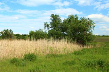 Doğanın güzel manzarası