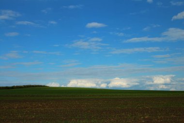 Yeşil çimen ve mavi gökyüzü olan güzel bir manzara.