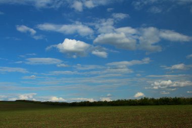 Mavi gökyüzü ve beyaz bulutlu yeşil alan