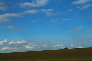 Büyük yeşil buğdaylı ve beyaz bulutlu bir arazi.