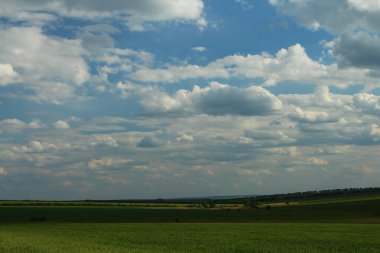 Gökyüzünün yeşil tarlası
