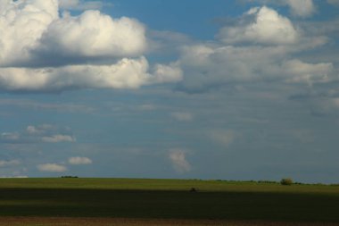 Buğday tarlası olan güzel bir manzara.