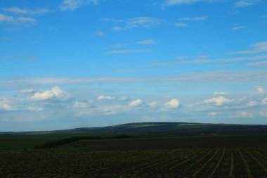 Tarlanın manzarası ve beyaz bulutlu mavi bir gökyüzü. yüksek kaliteli fotoğraf
