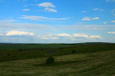 Çimen ve mavi gökyüzü olan yaz manzarası