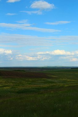 Yeşil tarlalı ve mavi gökyüzüyle yaz manzarası.