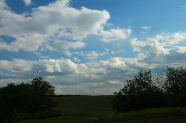 Yeşil alan manzarası, mavi gökyüzü ve bulutlar, yaz günü, doğa arka planı