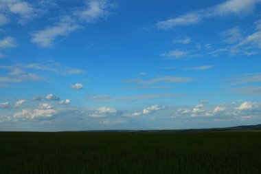 güzel yaz manzara mavi gökyüzü ve bulutlar