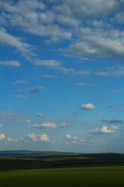 Yeşil buğday tarlaları, mavi gökyüzü ve bulutlu manzara