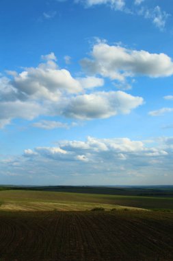 yeşil tarla ve mavi gökyüzü