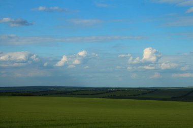 Yaz, yatay, yeşil alanlar ve mavi gökyüzü