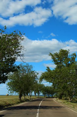 Parkın güzel manzarası