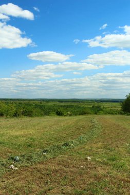 Yeşil çimlerin ve mavi gökyüzünün güzel bir görüntüsü.